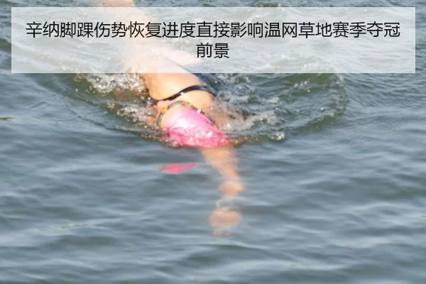 辛纳脚踝伤势恢复进度直接影响温网草地赛季夺冠前景
